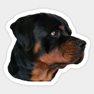 Rottweiler best dog Sticker